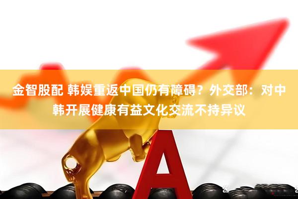金智股配 韩娱重返中国仍有障碍？外交部：对中韩开展健康有益文化交流不持异议