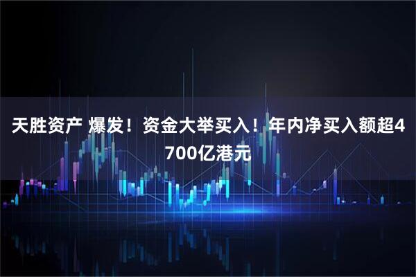 天胜资产 爆发！资金大举买入！年内净买入额超4700亿港元