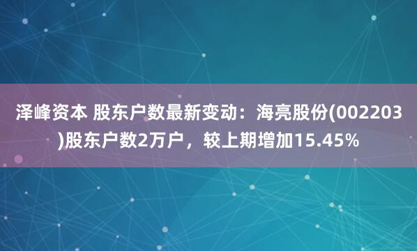 泽峰资本 股东户数最新变动：海亮股份(002203)股东户数2万户，较上期增加15.45%