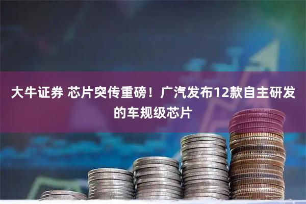 大牛证券 芯片突传重磅！广汽发布12款自主研发的车规级芯片