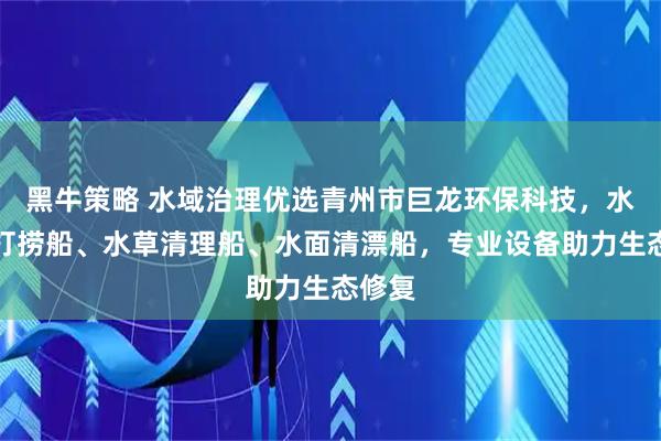 黑牛策略 水域治理优选青州市巨龙环保科技，水葫芦打捞船、水草清理船、水面清漂船，专业设备助力生态修复